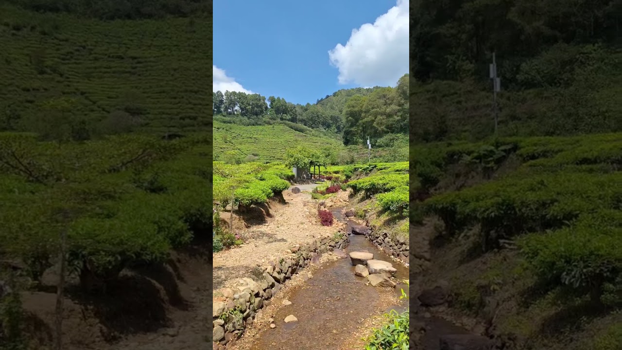 One of the cleanest and most beautiful villages in Bandung Regency