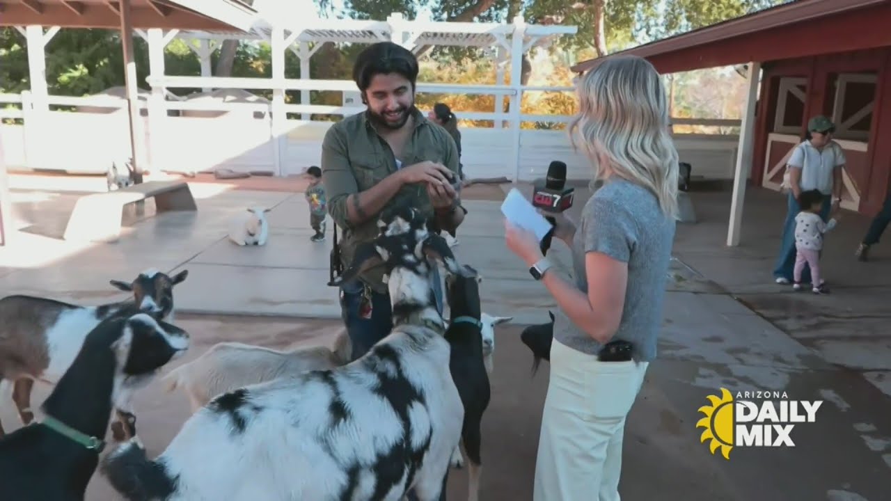 Check out these twin goats at Phoenix Zoo