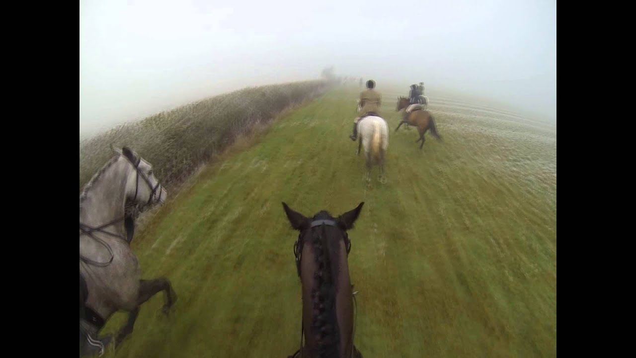 Dubh tries bloodhounding (hatcam)