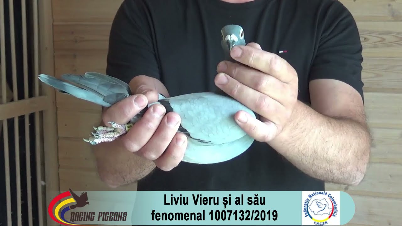 Liviu Vieru și al său fenomenal 1007132/2019