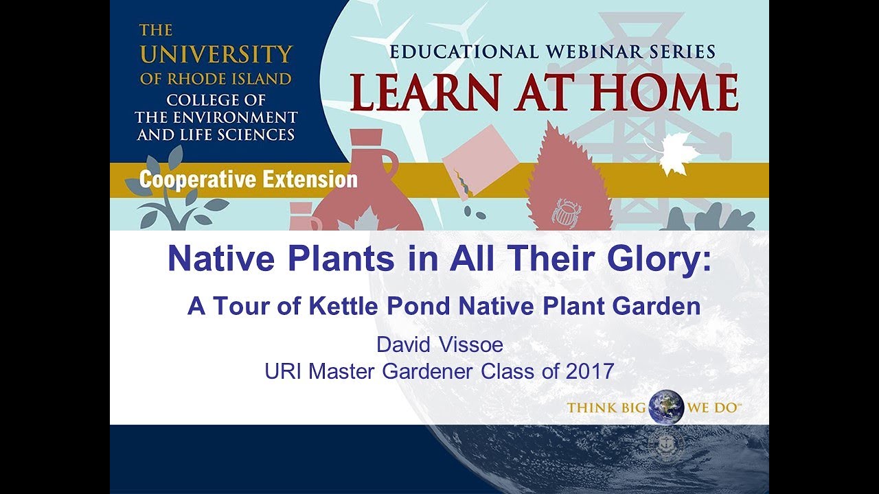 Native Plants in All Their Glory A Tour of the Kettle Pond Native Plant Garden