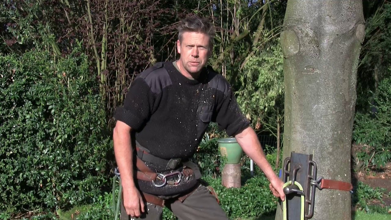 2017 10 04 Arjan bomen zagen