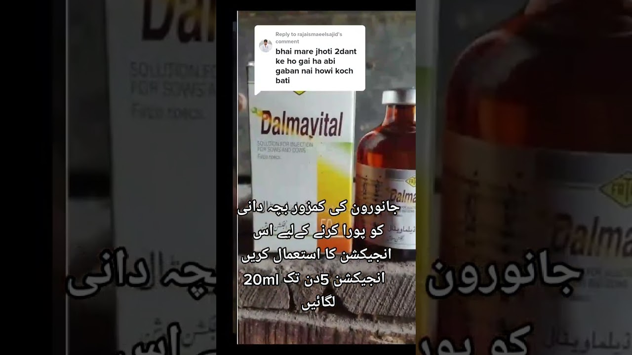Use of dalmavital injection in animals