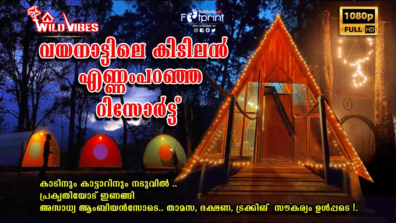 PREMIUM Glamping STAY | Wild vibes resort | Wayanad വയനാട്ടിലെ അസാധ്യ ആംബിയൻസുള്ള  റിസോർട്