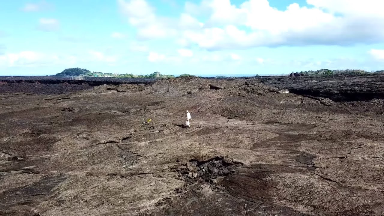 Planting Ohia Tree on Kilauea Volcano lava covered Lot Leilani Estates Hawaii.