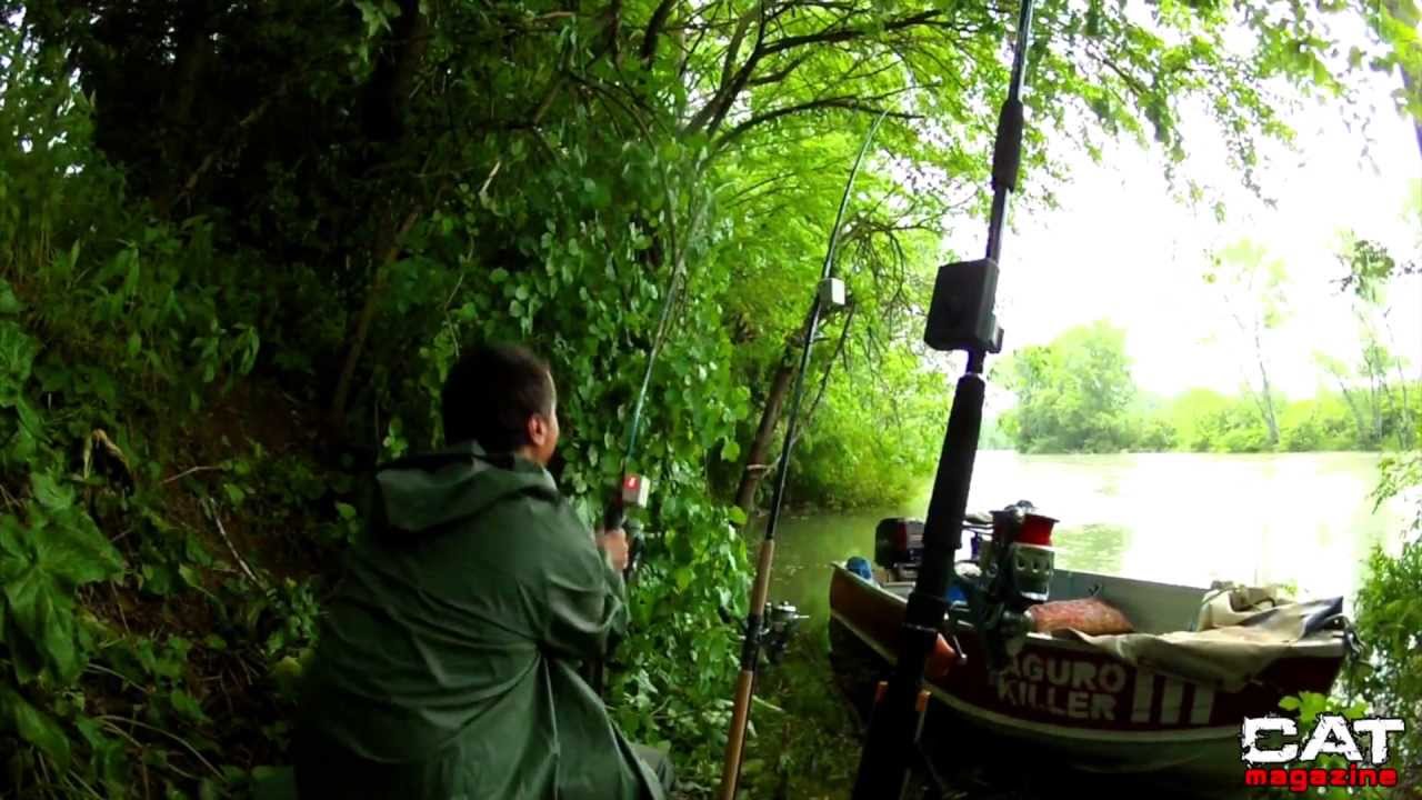 Siluro: Dallo spinning alla break line