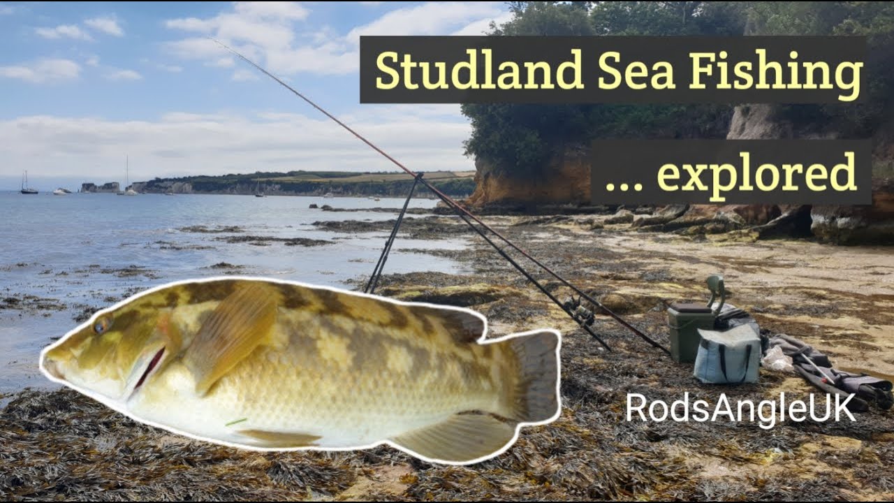 STUDLAND SEA FISHING ...explored