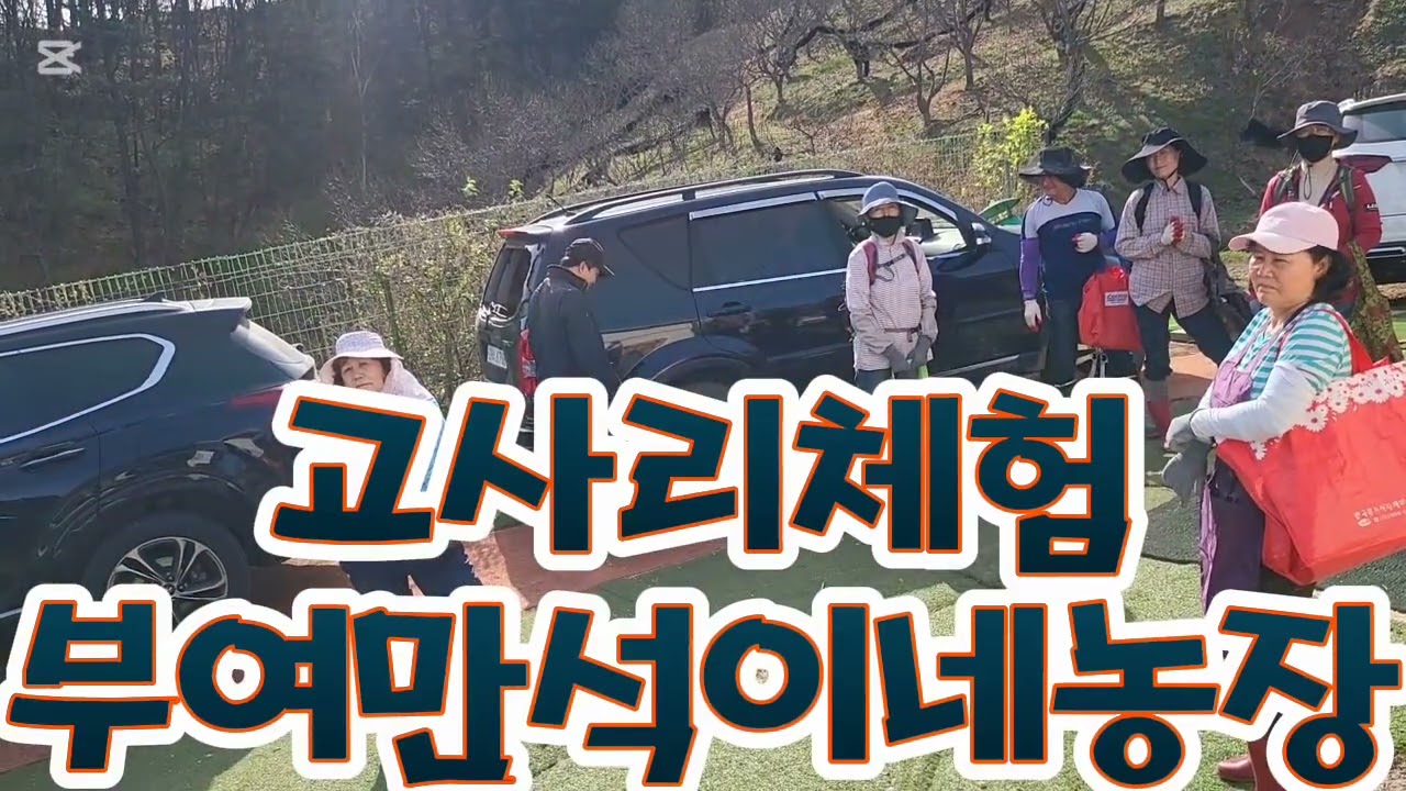 고사리체험하는곳 부여만석이네농장