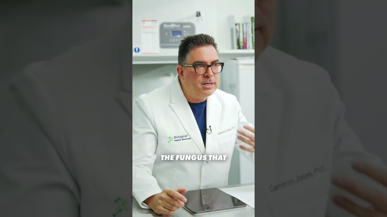 Can Cordyceps Infect Humans?