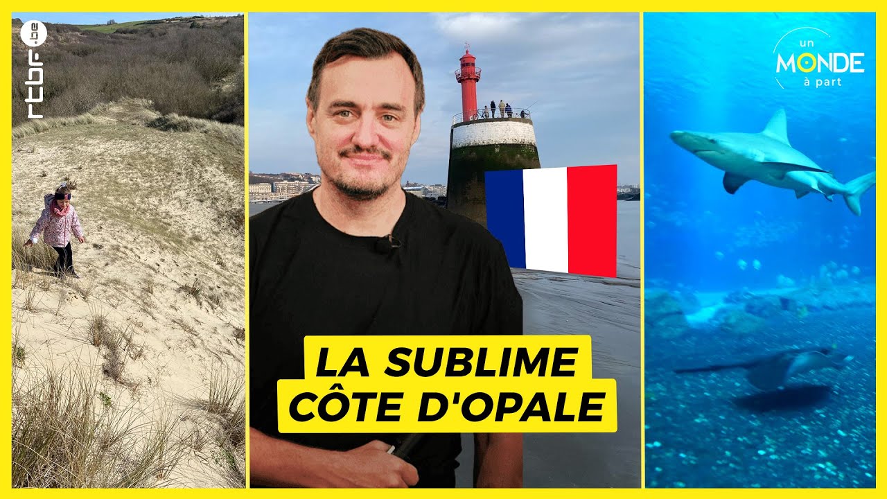Côte d'Opale : découverte des paysages et de l'aquarium Nausicaa - Un Monde à part