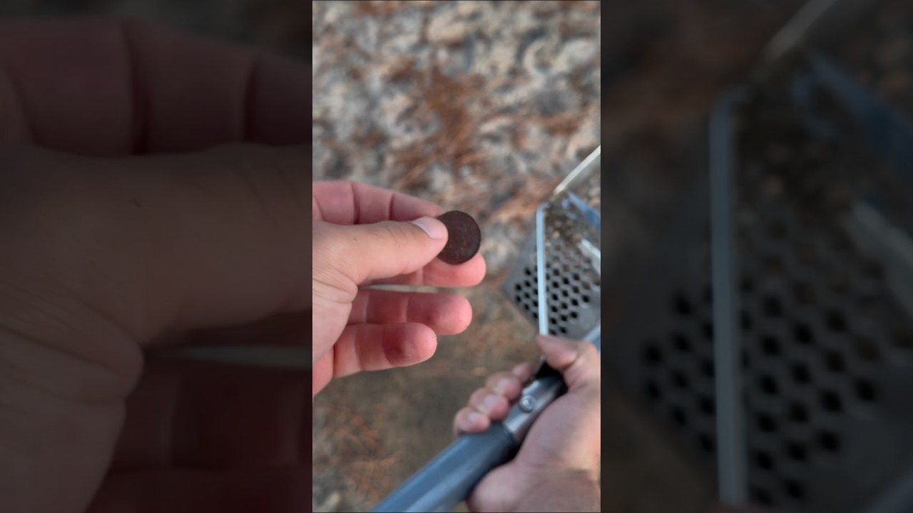 100円 Coin! Seriously? #MetalDetecting #100YenFind #TreasureHunt #CoinHunt #BeachTreasure #minelab