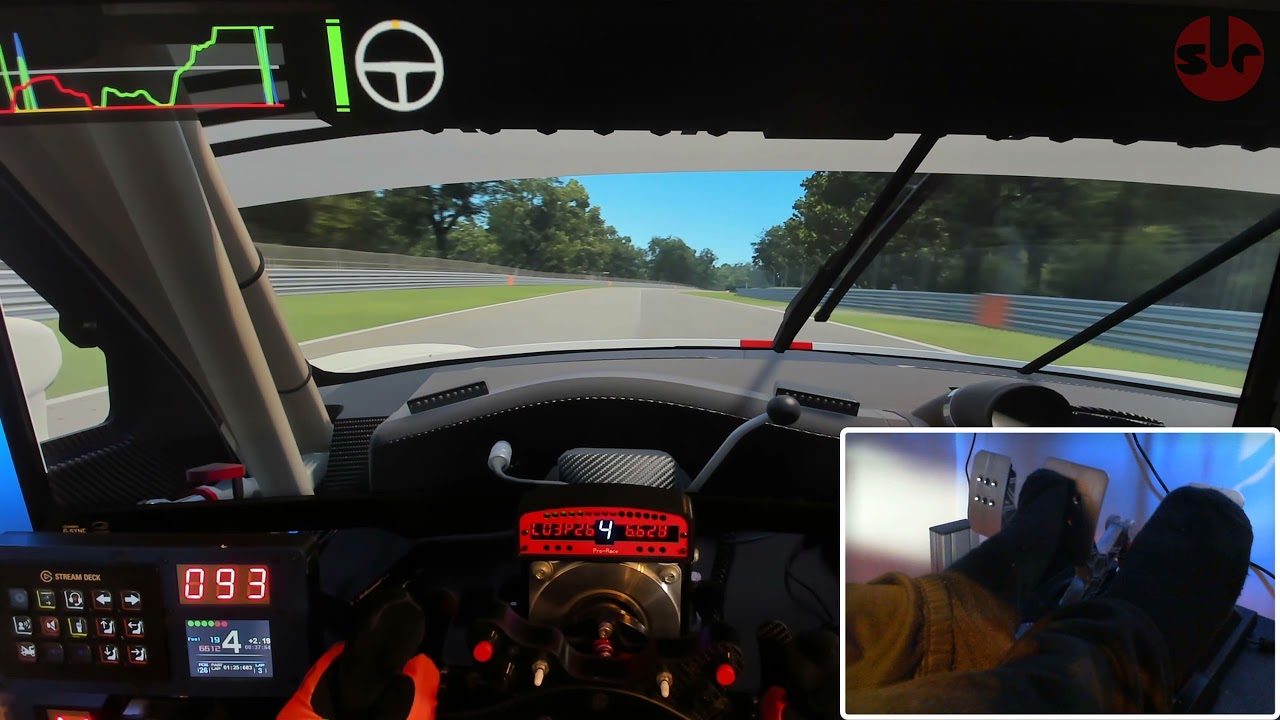 Thrustmaster T-LCM Pedals 🤔DRIVE AND TALK😃 This is what I think about them after 4 weeks!