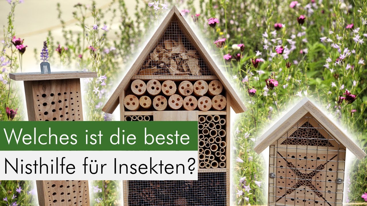 Insektenhotels im Vergleich - Darauf musst du achten! PS: Die Teile heißen NISTHILFEN!