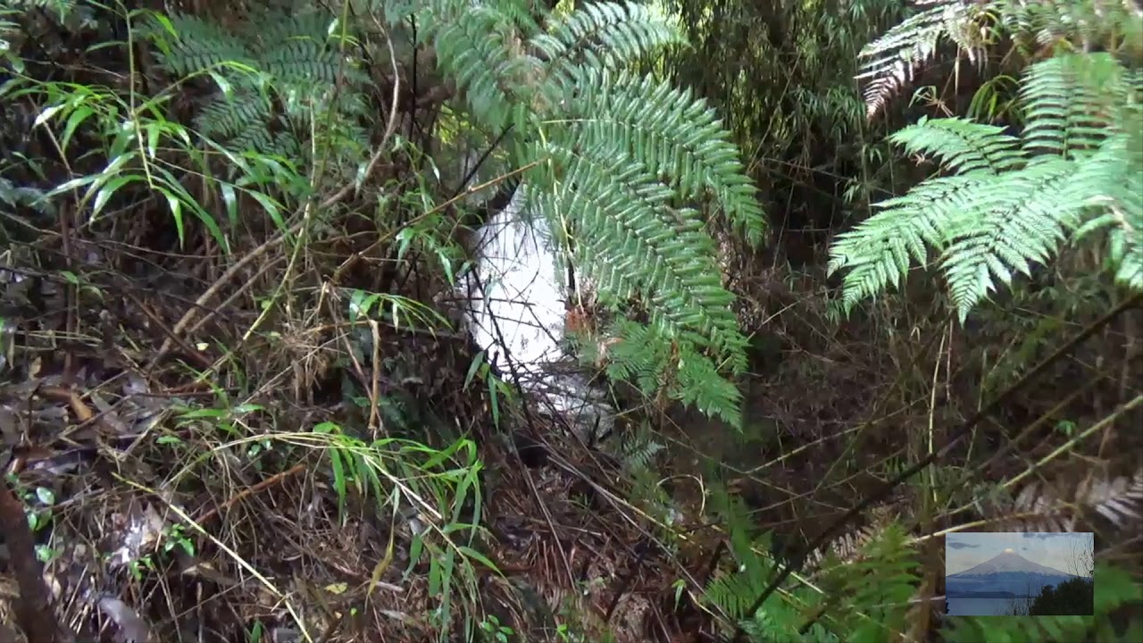 5 29 Acres With A House In Chile FOR SALE 2 Waterfall Property