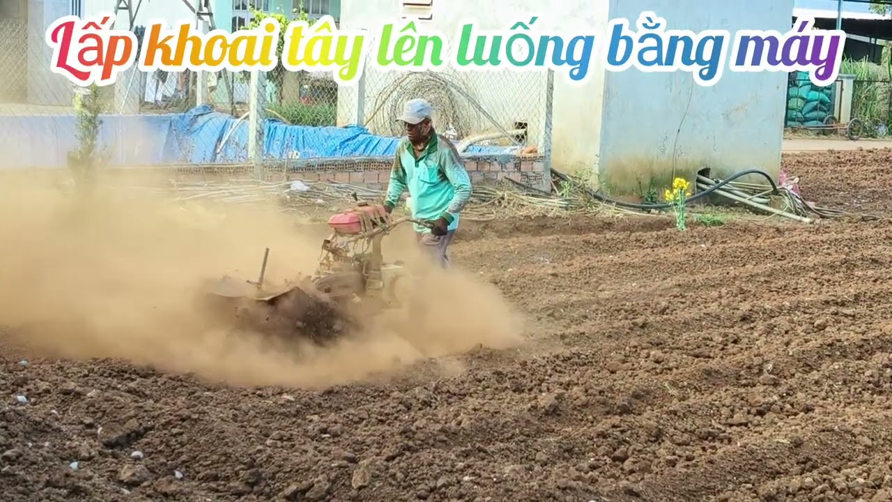 Máy xới  lên luống lấp giống