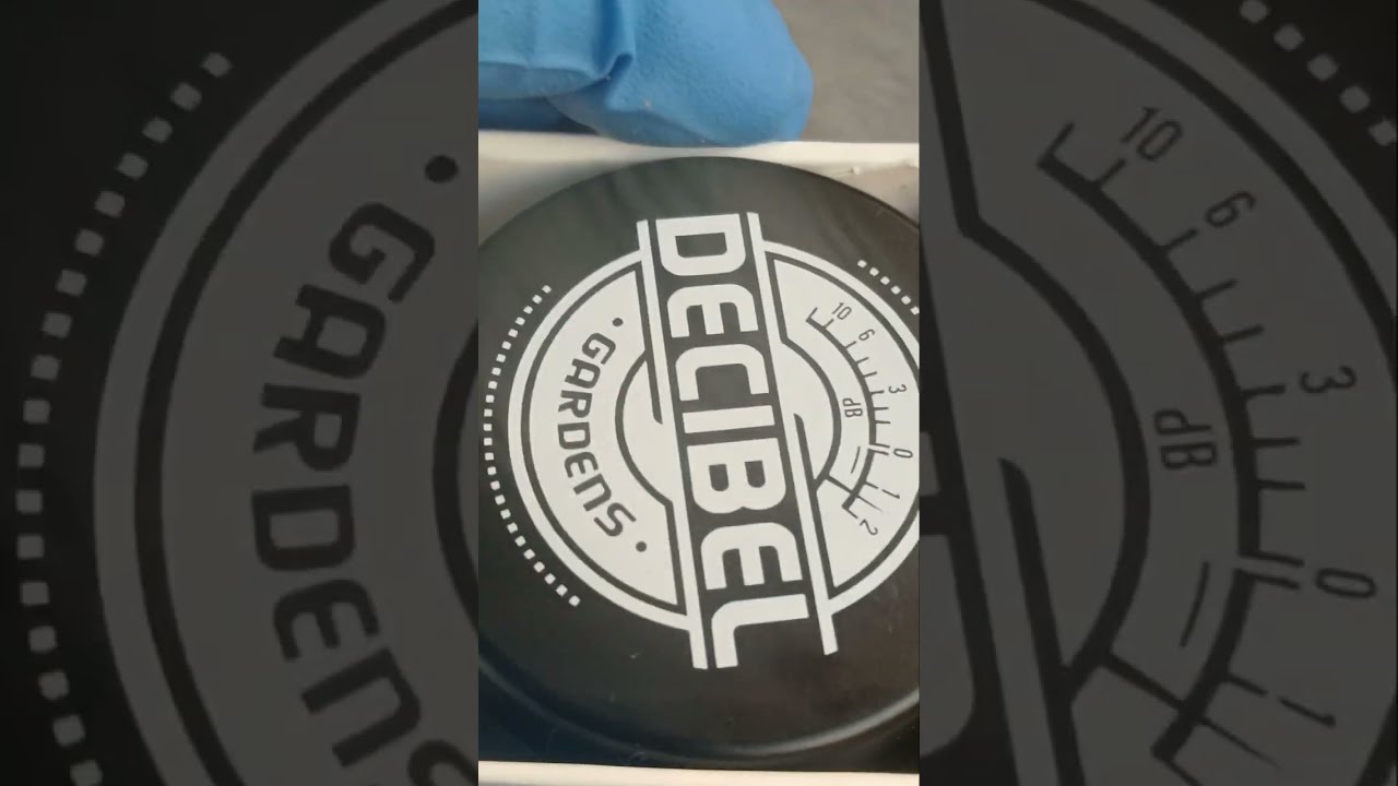 Decibel Gardens: Blueberry Revenge flower review 