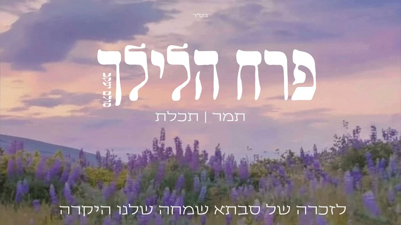 פרח הלילך -תמר ותכלת [שירת נשים]