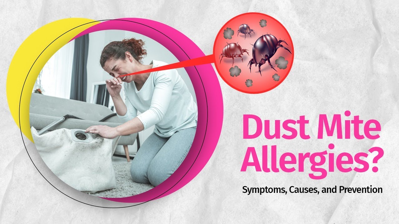 What are Dust Mite Allergies? Symptoms, Causes, Triggers and Prevention