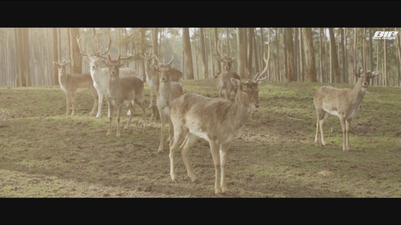 Shaun Bate feat. Sirona - Don't You Worry (Official Music Video) (HD) (HQ)