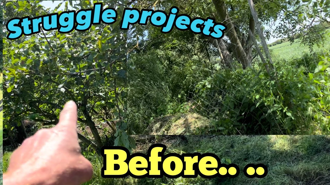 Family helps transform garden & builds the ultimate fence! struggle projects