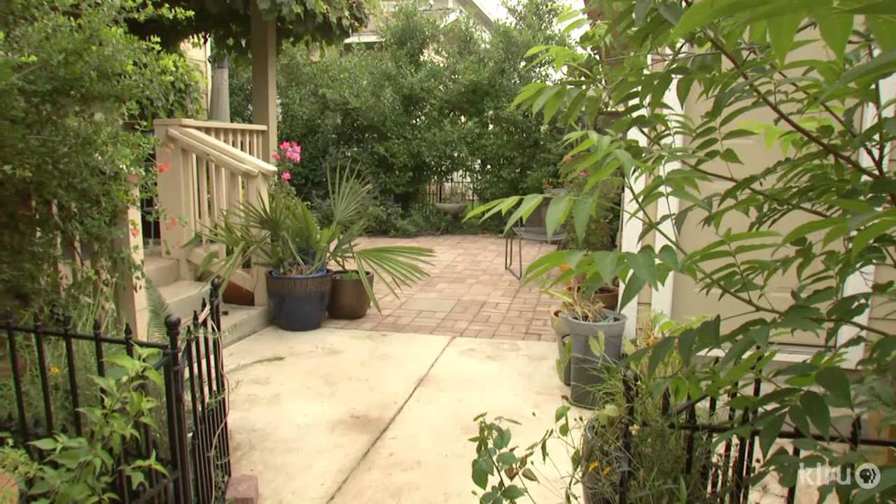 Native plant design for small garden|Ida Bujan|Central Texas Gardener