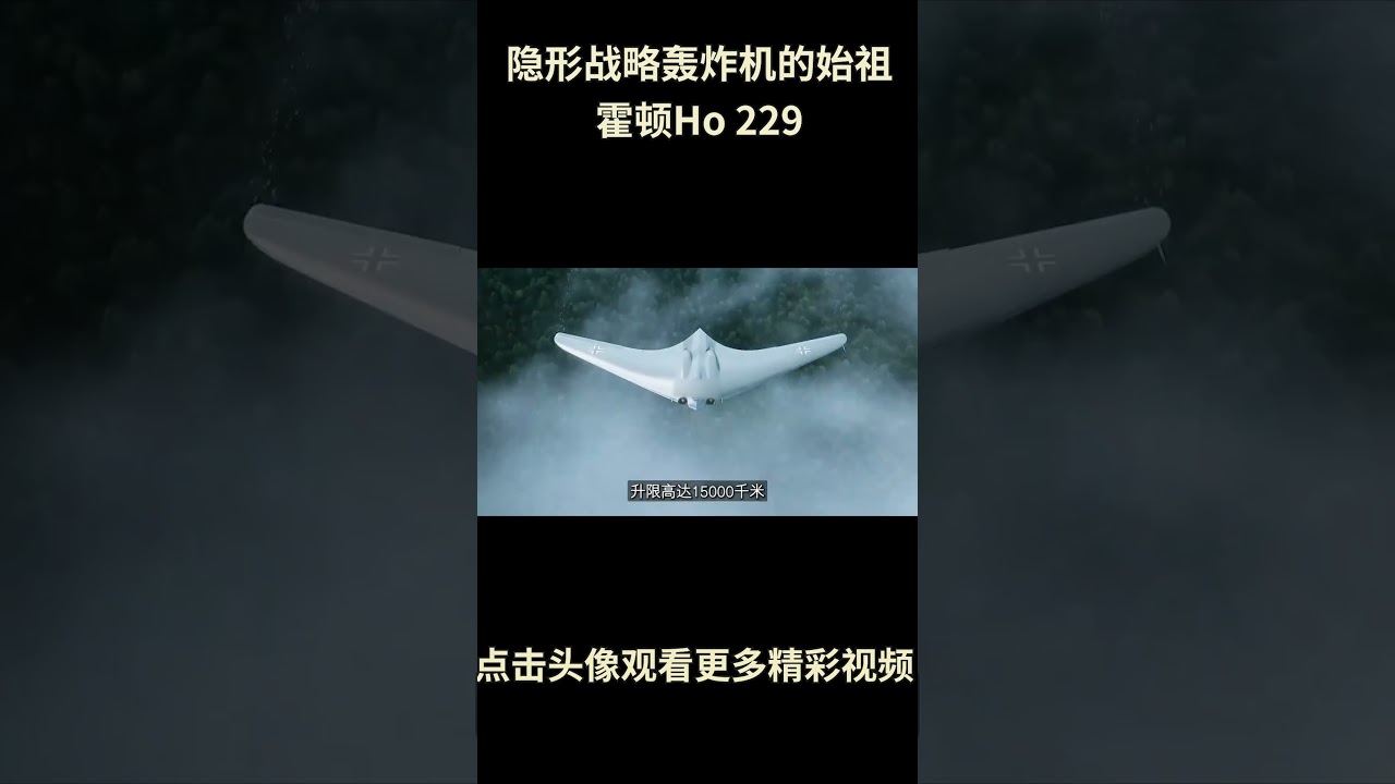 隐形轰炸机的鼻祖：霍顿Ho 229，二战德国的末日狂想 #综艺 #解说 #解說