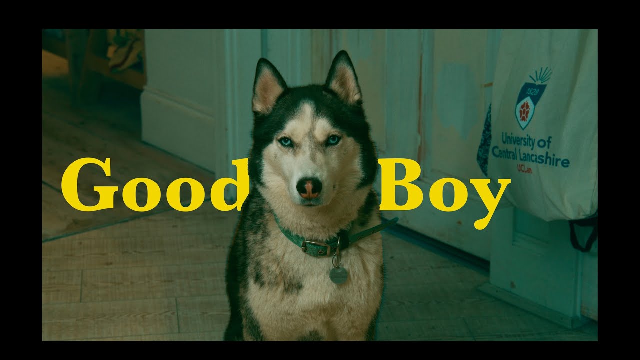 Good Boy - One Minute Short Film