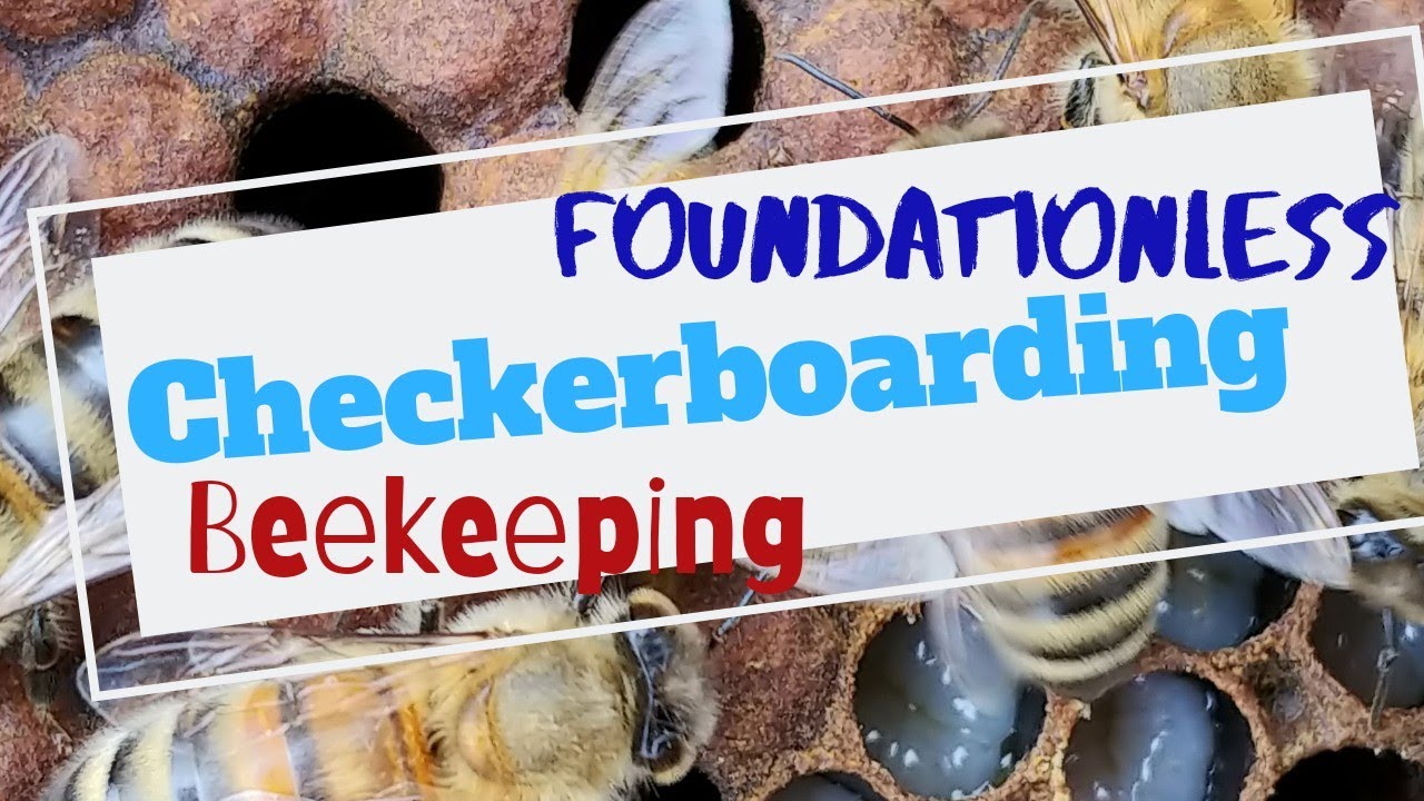 ☯️ Beekeeping | CHECKERBOARDING FOUNDATIONLESS FRAMES| HOW TO NOT GET CROSS COMB