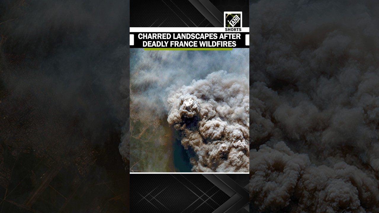 Drone captures scorched forests, destroyed homes after devastating France wildfires