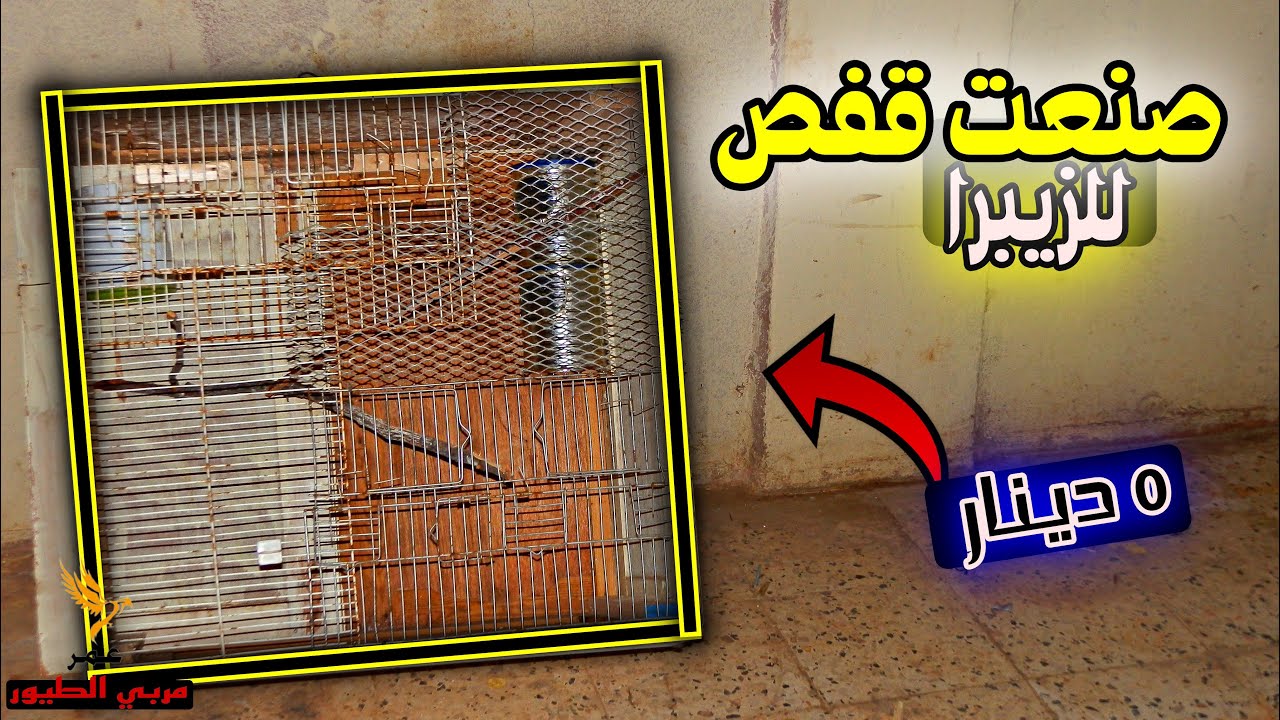 صنعت قفص للزيبرا