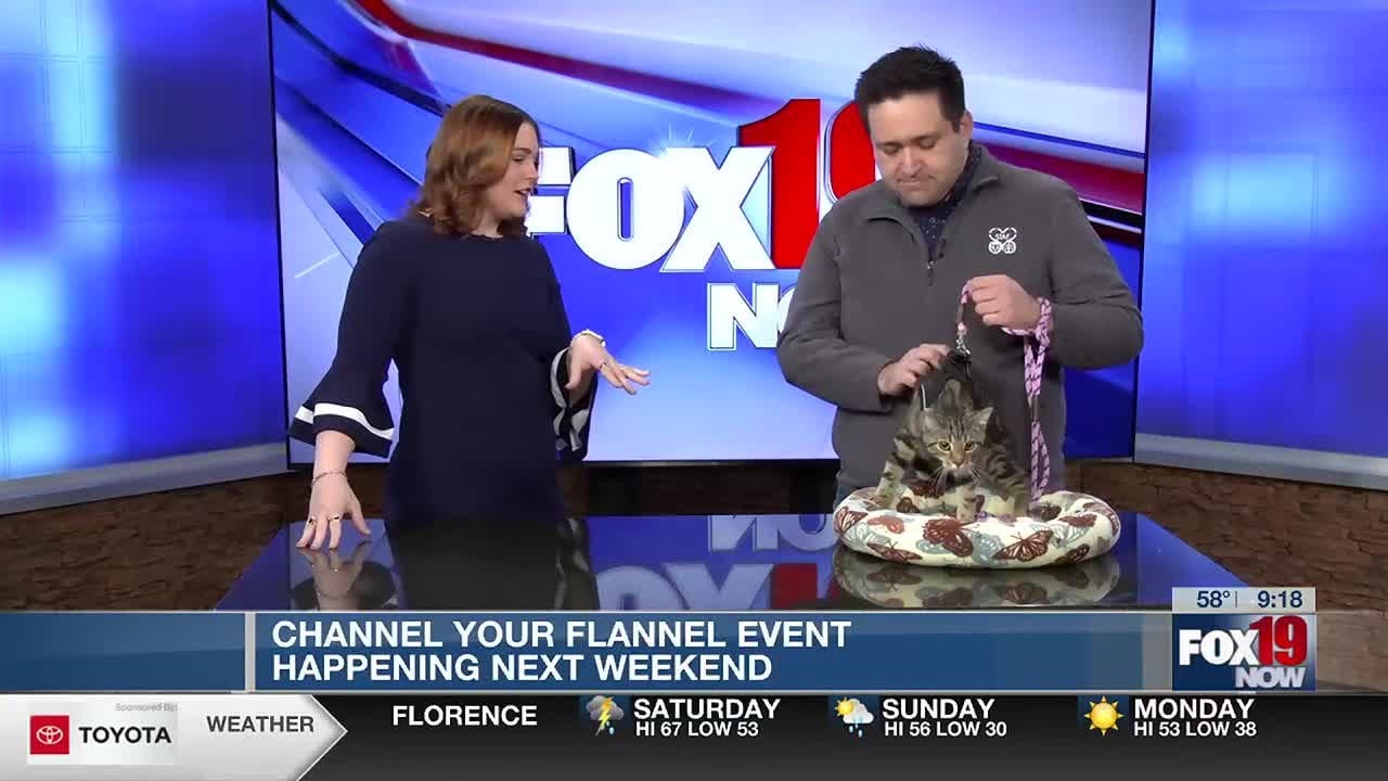 A furry friend from Save the Animals Foundation stops by FOX19 NOW