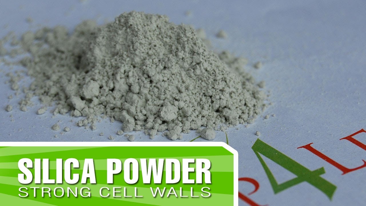 Organic Silica from Kelp4less.com - Improve your plants structure and cell walls