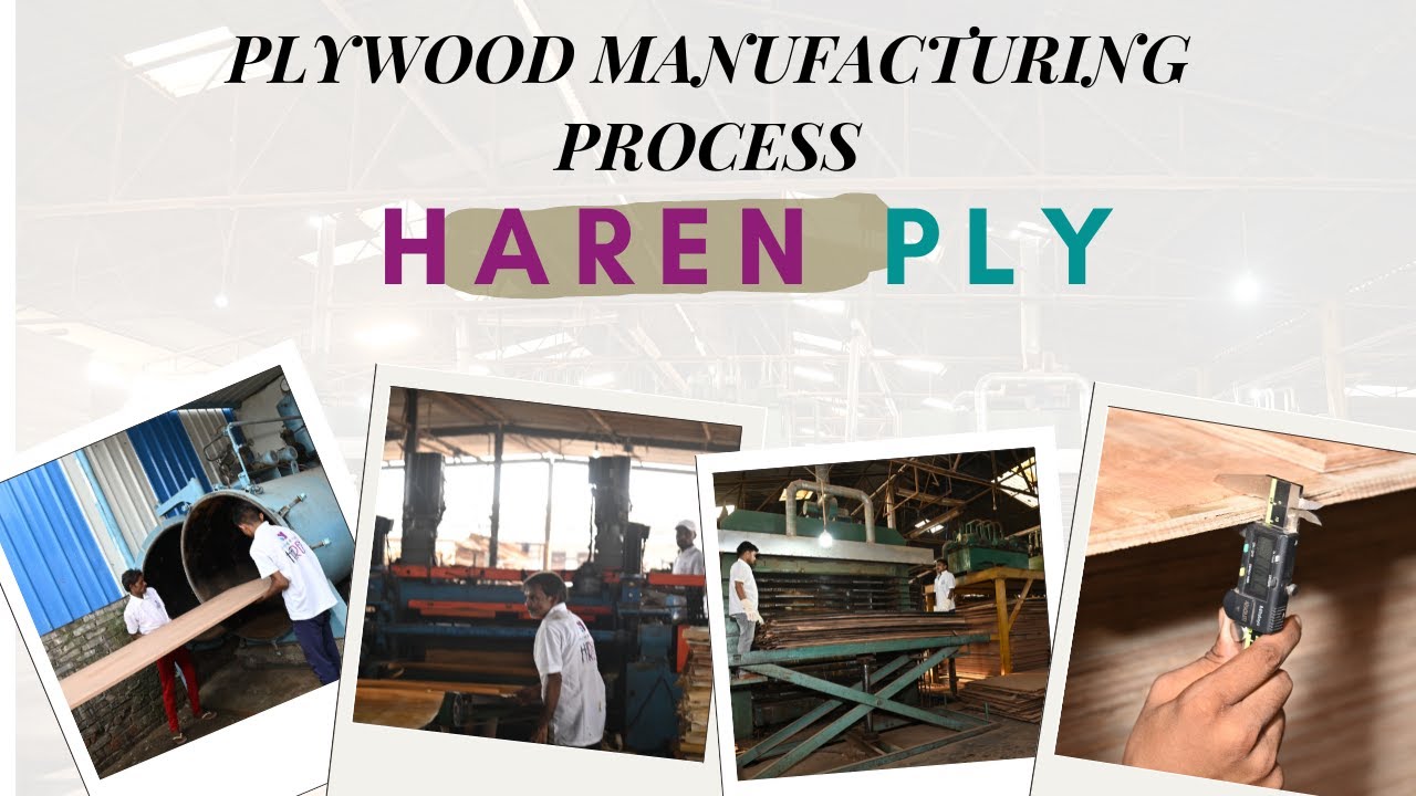 Plywood Manufacture Process Step To Step With Quality