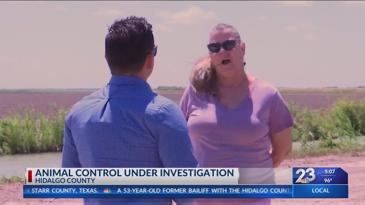 Animal control officer under investigation