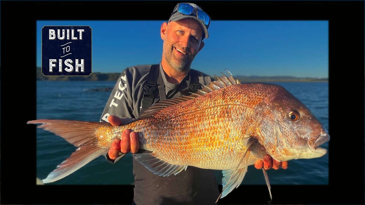 You can't catch WEST COAST SNAPPER on Softbaits!