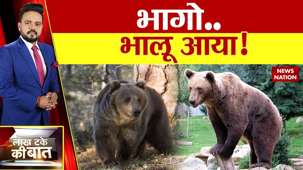 जंगल से रिहाइश में आया भालू तब क्या हुआ? देखिए इस वीडियो में | Chhattisgarh |  Bear's Terror