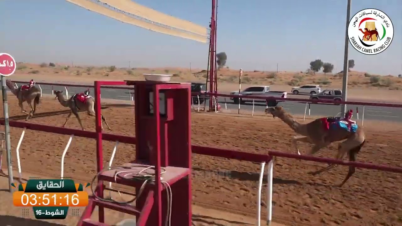 ميــدان الذيد - ش 16 الحقايق 13/02/2026 الصحاف لـ صقر سالم ناصر بن مضخور المسعودي. التوقيت: 6:05:41