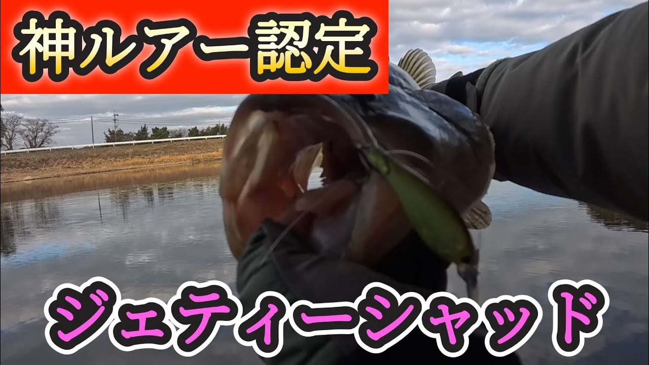 【ジェティーシャッド】ジェティーシャッドが止まらない‼️