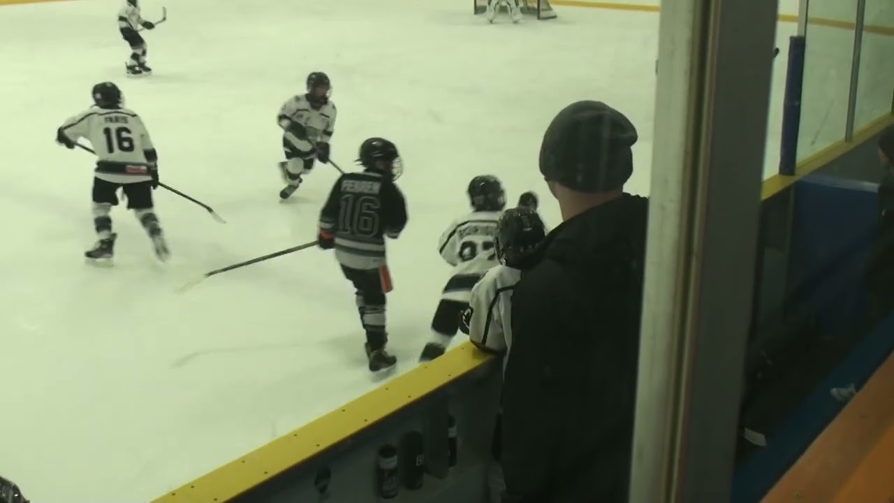 Tigers v Mississauga Beast   2026 02 13 00434