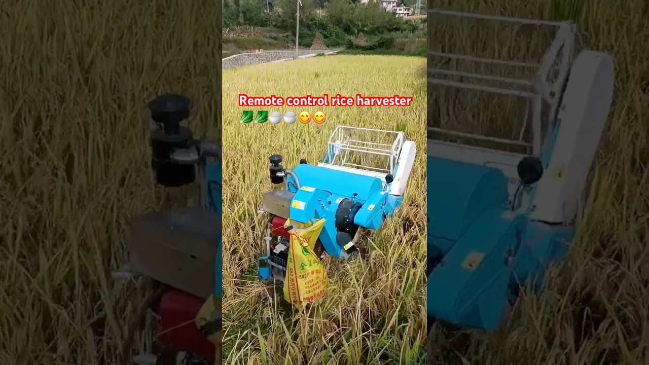 Remote control rice harvester