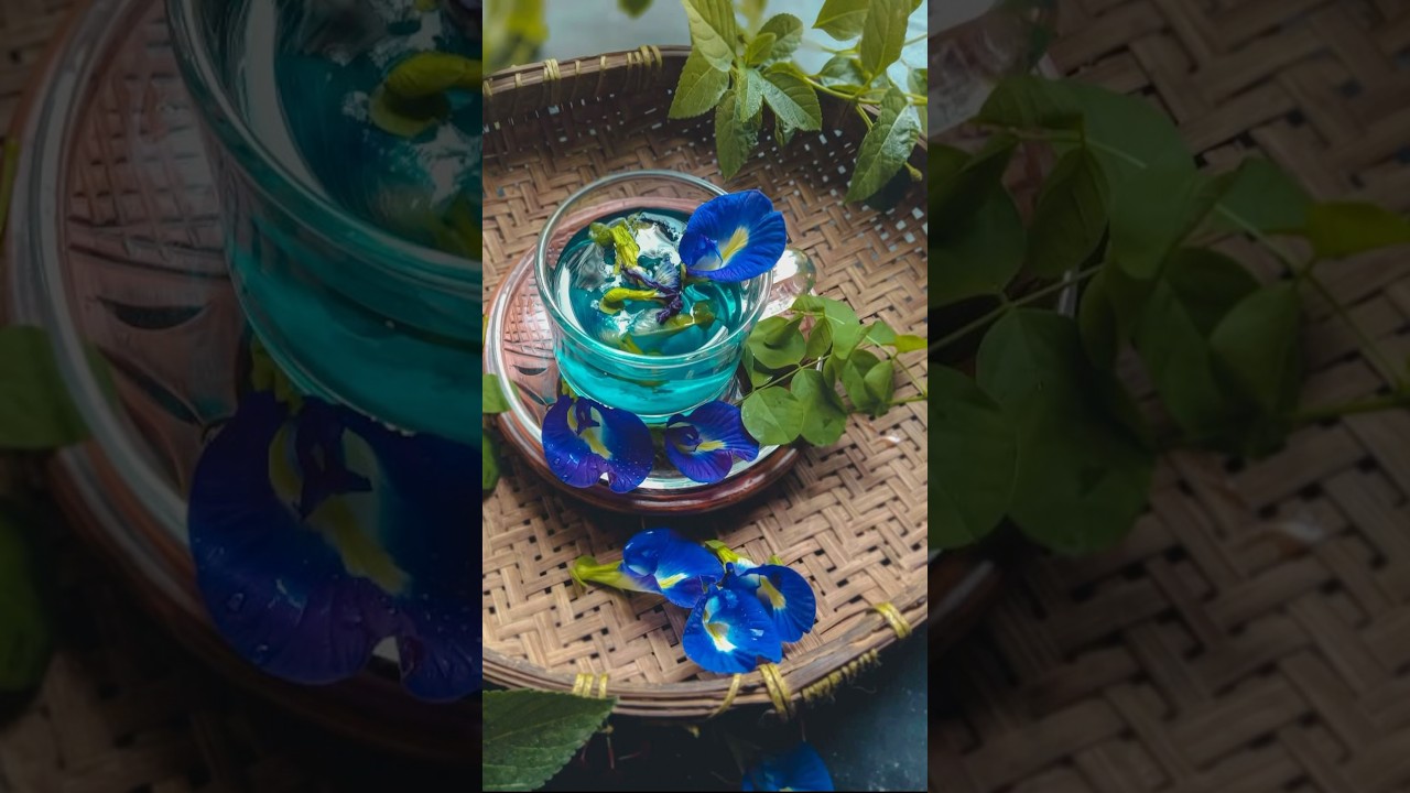 Healthy blue pea tea #healthy #tea #herbaltea #stressrelief #shorts #bluetea #bluepea