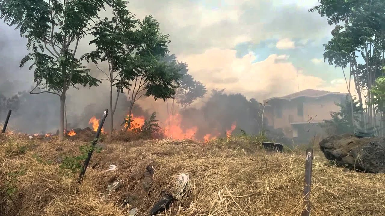 Gravina, incendio a pochi metri dalle case. Pericolo per auto, in fiamme terreno privato