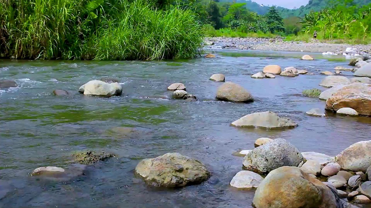 Mountain Water Stream in Nature | Calm Sounds for Insomnia Relief