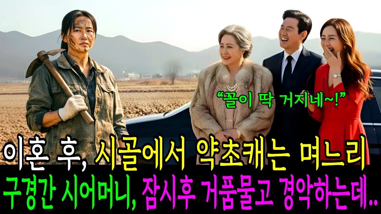 식모처럼 30년 부려 먹고 내쫓은 전처가 '1000억 산삼 밭' 주인이 되자, 내연녀와 비웃으러 온 시어머니가 산길에서 거품 물고 경악하는데..