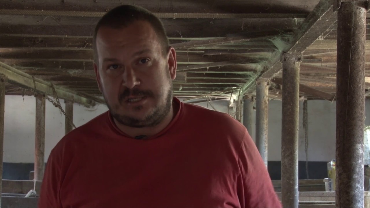 Svinjarstvo kao navika