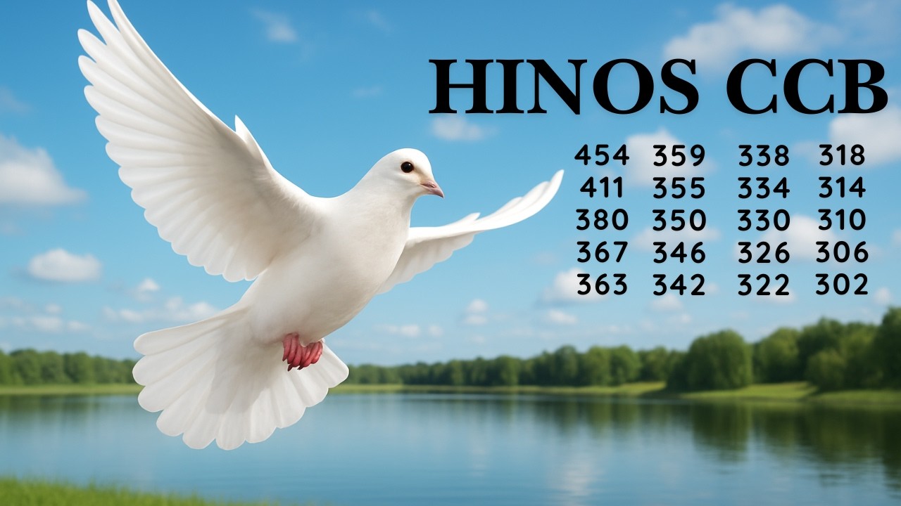 HINOS CCB - 52  | 454 411 380 367 363 359 355 350 346 342 338 334 330 326 322 318 314 310 306 302