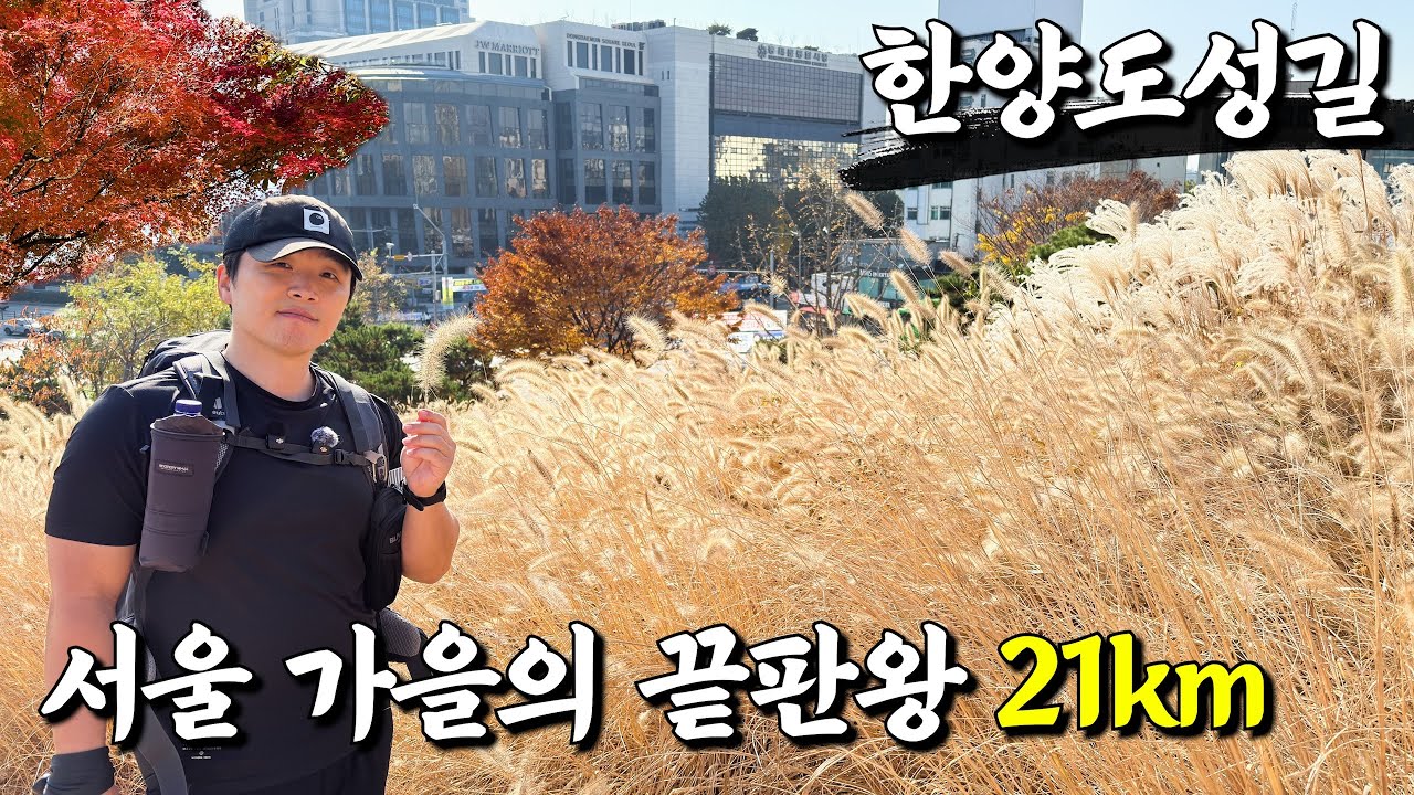 단풍 정말 미쳤다!! 🍁 한양도성길에서 만난 서울의 진짜 가을 🍂 서울트레킹 | 가을산행  | 당일치기 | 순성길