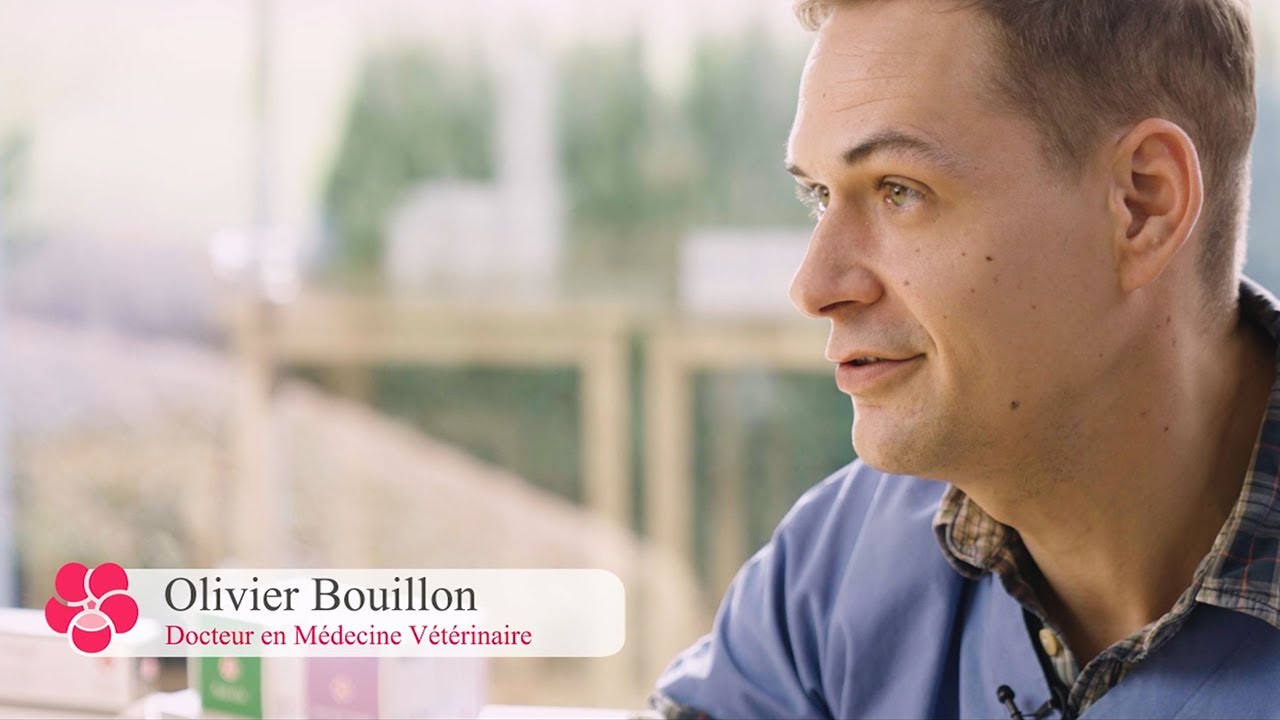 Interview Dr Olivier Bouillon - Immune Supp&trade; Consti Regul&trade; Miloa&trade; (English subtitles)