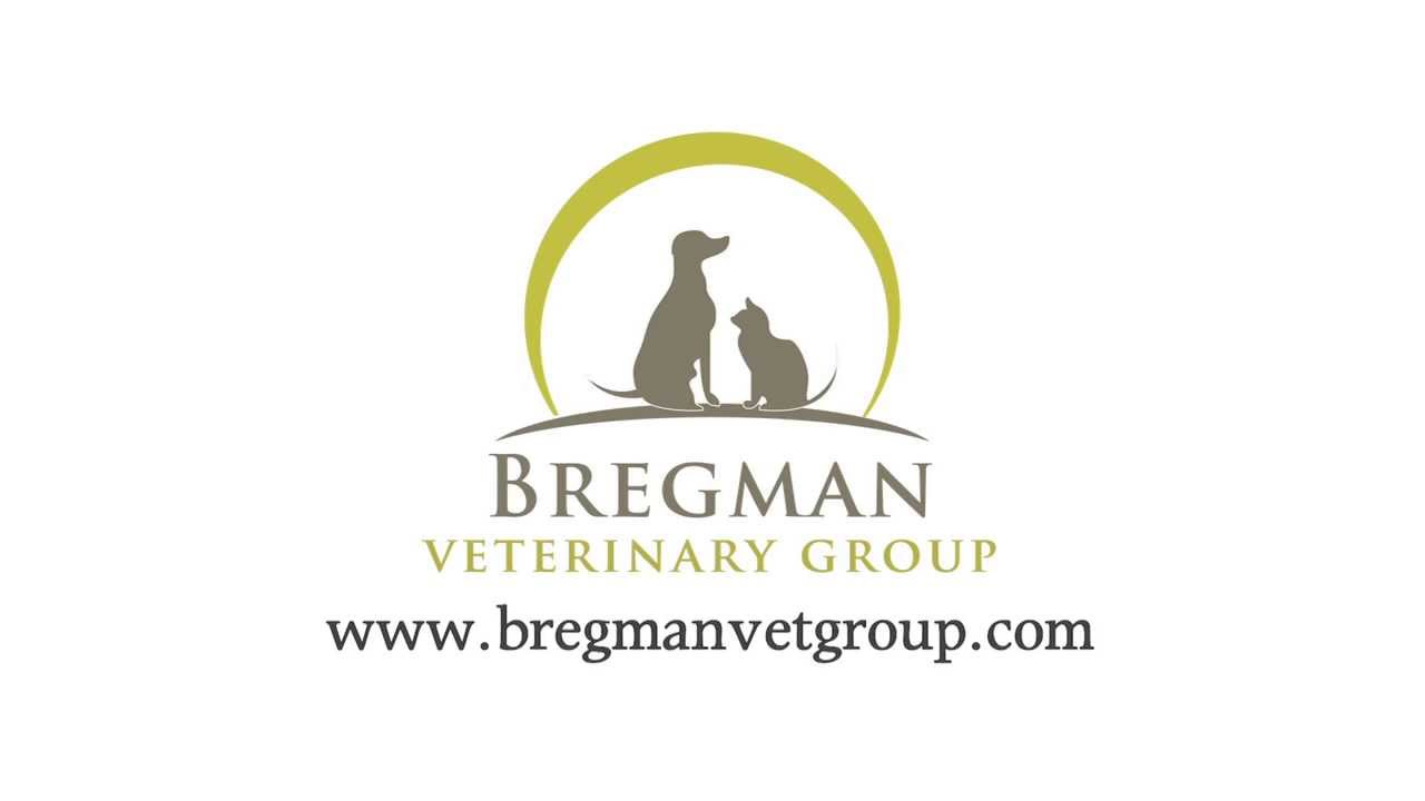 Cutting Edge Veterinary Technology at Bregman Vet Group
