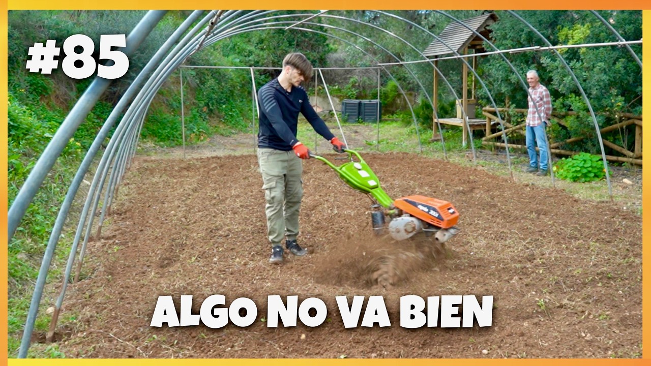 INVERNADERO: rematamos el TERRENO con la MOTOAZADA 🪏#85 | Creando un huerto desde 0